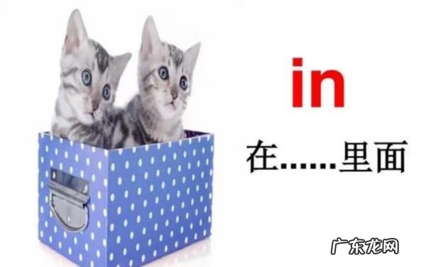 in表示什么,in什么意思