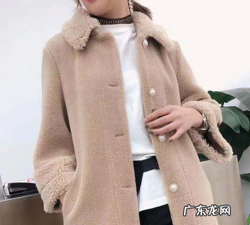 什么是颗粒绒大衣特点,什么是颗粒绒是羊毛