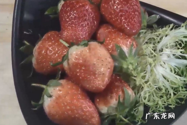 草莓的正确清洗方法,草莓用什么洗最干净
