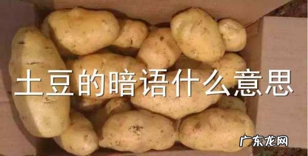 网络土豆什么意思,土豆是什么意思网络词