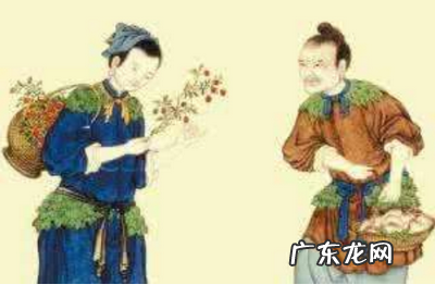 投之桑榆报之桃李意思,投之以桃报之以李的意思是什么