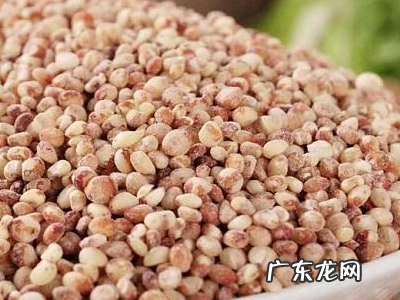 高粱米热量高吗,高粱米饭 大米饭 玉米饭 的热量谁高 谁的最低
