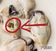 生蚝有内脏,生蚝的内脏在哪里怎么去除