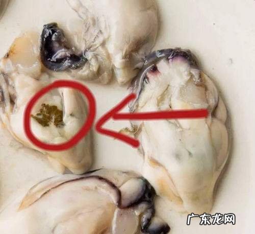 生蚝有内脏,生蚝的内脏在哪里怎么去除