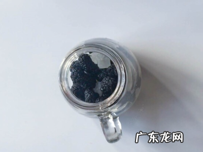 桑葚怎样泡酒,桑葚泡酒的做法