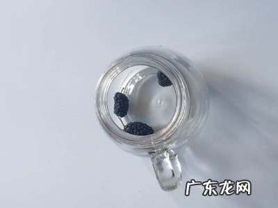 桑葚怎样泡酒,桑葚泡酒的做法