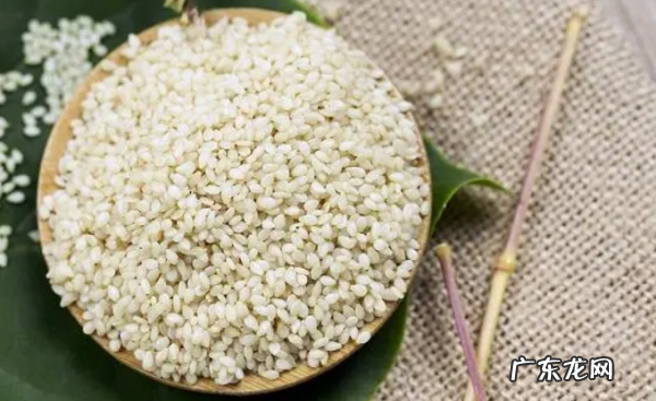 糯米和江米一样,糯米和江米是一样的