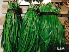 韮菜腌制方法有哪些,怎样腌制韭菜