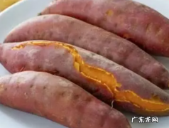 冷水下锅的红薯煮多久,煮红薯冷水下锅多久