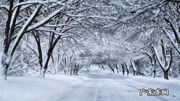 关于大雪的谚语,关于大雪谚语有哪些