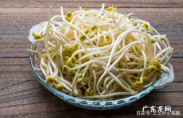 黄豆芽怎么选,发豆芽怎么挑选豆种