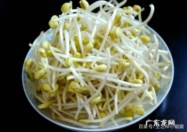 黄豆芽怎么选,发豆芽怎么挑选豆种