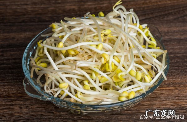 黄豆芽怎么选,发豆芽怎么挑选豆种