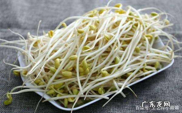 黄豆芽怎么选,发豆芽怎么挑选豆种