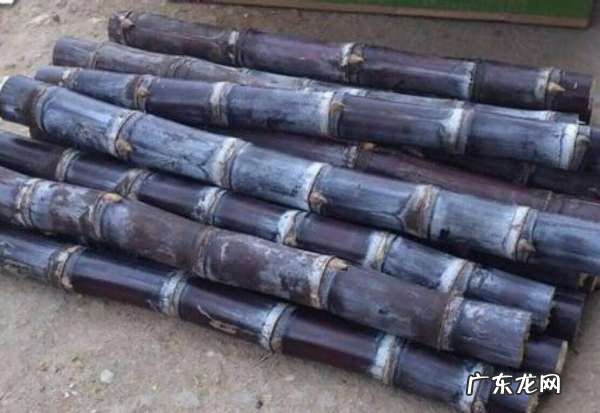 甘蔗变味了能吃,甘蔗发酸还能吃