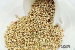 薏米怎么挑选,薏仁如何挑选什么样的薏米仁比较好