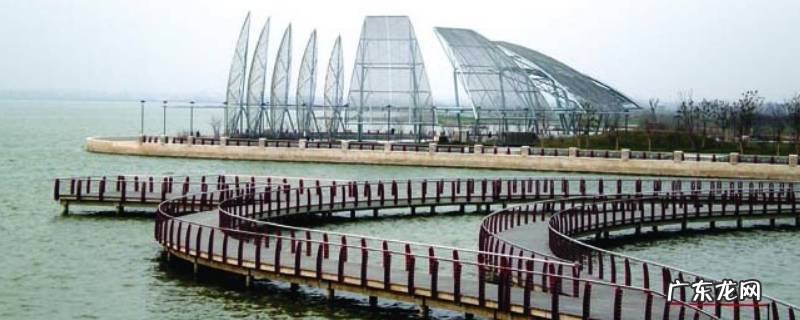 龙子湖的景色 龙子湖区景点