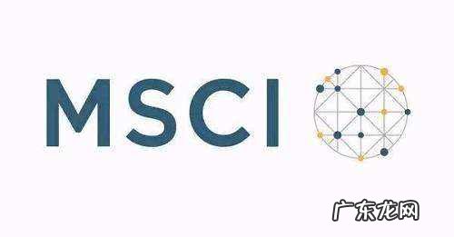 msci什么意思,msci是什么意思