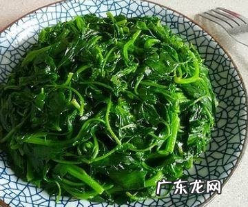 灰灰草怎么做好吃,晒干的灰菜怎么做最好吃
