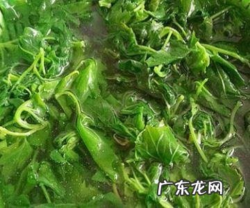 灰灰草怎么做好吃,晒干的灰菜怎么做最好吃