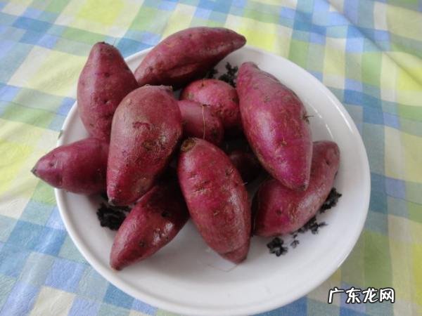紫薯蒸多长时间,蒸紫薯大概要蒸多长时间才熟