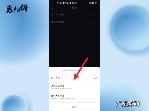 抖音别人点赞怎么看不到,抖音看不到谁点赞了怎么回事