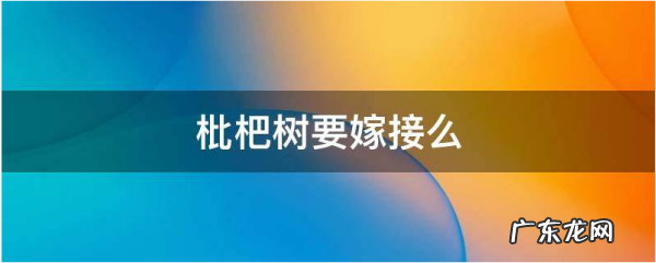 枇杷树怎么嫁接,枇杷树怎么嫁接