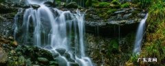 神农架林区景点 神农架林区旅游景点