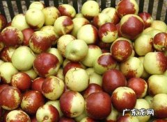 冬枣软了还能吃,冬枣放冰箱为什么都软了