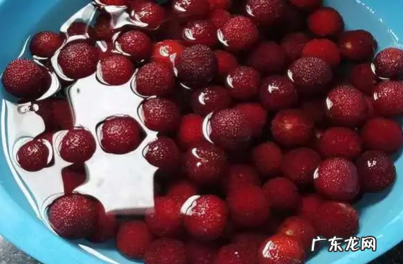 杨梅的正确洗法,杨梅怎么清洗才能洗得干净