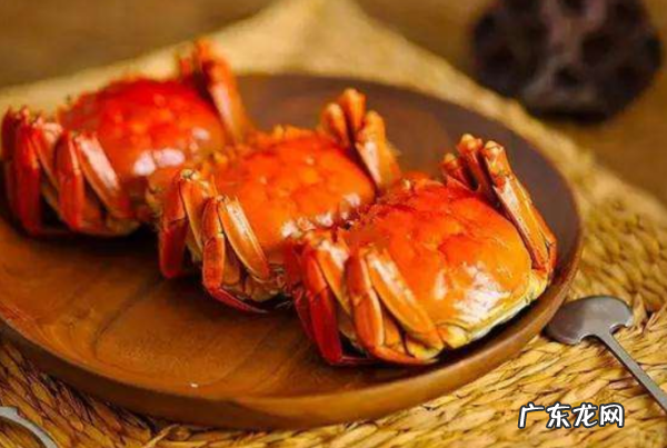 螃蟹的腮能吃,螃蟹的哪些部位不能吃图解