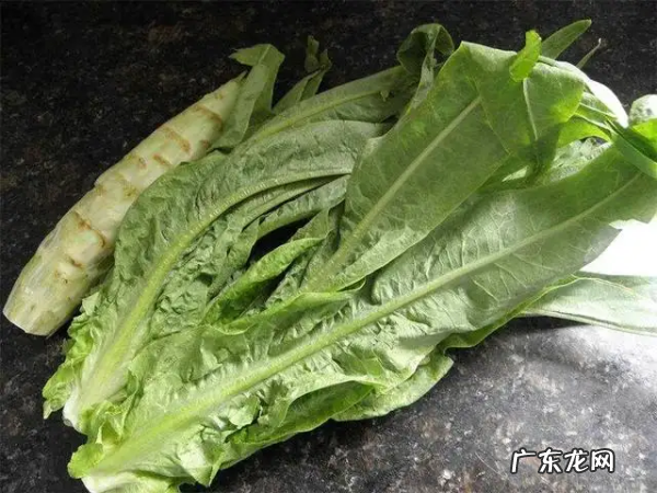 莴笋叶能吃,莴笋的叶子能吃怎么吃