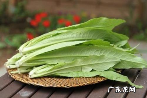 莴笋叶能吃,莴笋的叶子能吃怎么吃