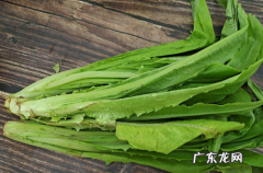 莴笋叶能吃,莴笋的叶子能吃怎么吃