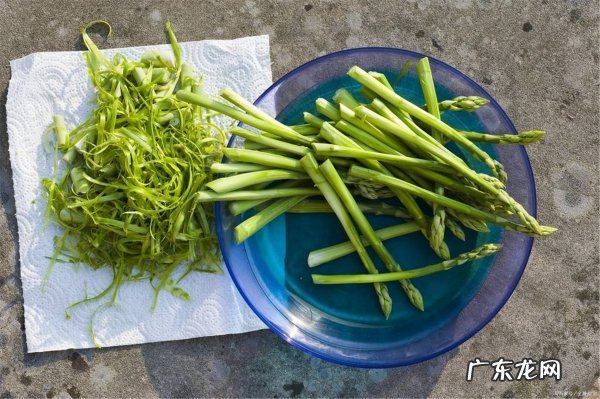 芦笋最佳搭配的食物,芦笋搭配什么吃最好