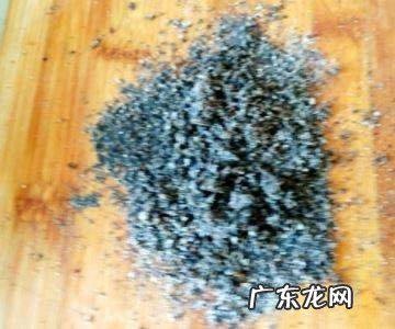 糯米粉怎么和面,糯米粉的和面方法窍门