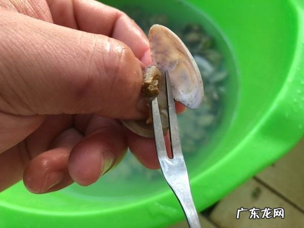 怎样给花甲去屎,花甲的黑屎怎么弄掉