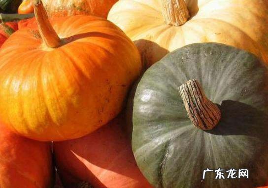 南瓜怎么挑选,怎样挑选南瓜才是好的