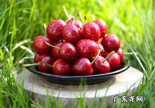 樱桃放多久会变味,樱桃可以放多久