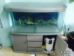 鱼缸干湿分离是什么意思,新手问下鱼缸干湿分离的好处和坏处