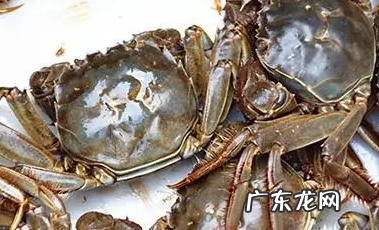 青蟹死了多久不能吃,青蟹死了能不能吃了人保车险电话