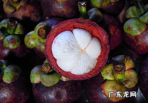 山竹核能吃,山竹里面的软的核能吃