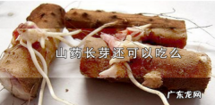 山药长芽能不能吃,山药生芽了还能吃么有毒