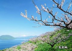 新鲜形容事物的句子,形容事物新鲜的句子