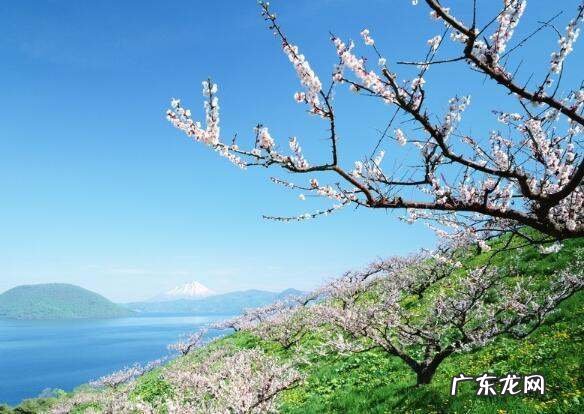新鲜形容事物的句子,形容事物新鲜的句子