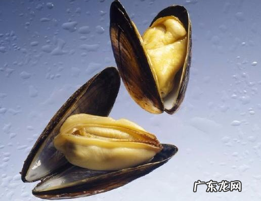 淡菜粥有什么好处,淡菜粥的做法