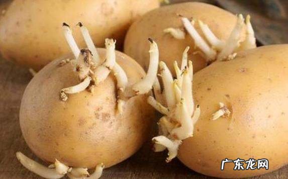 如何避免土豆发芽,如何防止土豆发芽