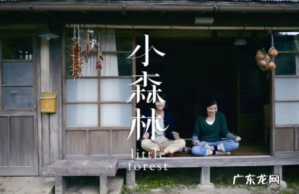 奇妙的小森林播出时间,两个人的小森林的歌曲