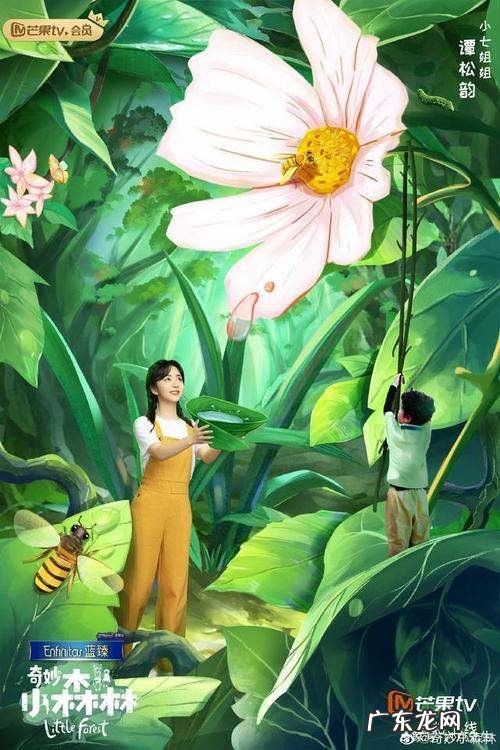 奇妙的小森林播出时间,两个人的小森林的歌曲