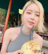 soda是什么意思,soda的意思是什么